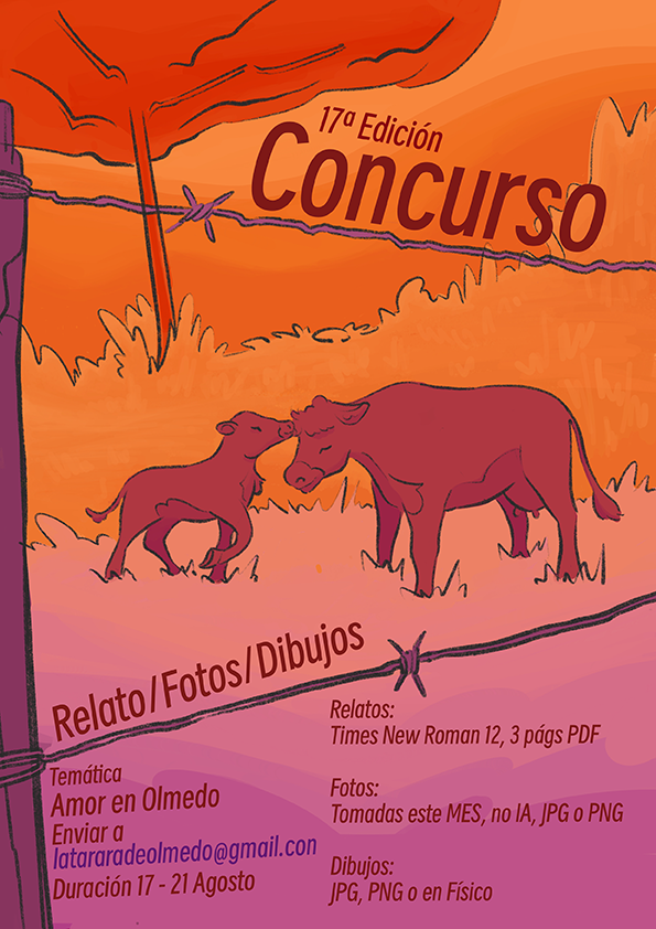 Concurso relato, fotografía y dibujo 2025